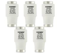 SIGANDG Liens de fusibles en néozed, Céramiques DIII fusibles, type gG, 63A 500VAC pour la protection des câbles et des lignes, Lot de 5