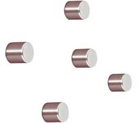 SIGEL Aimants Ba700 – Lot de 5 cylindriques Néodyme N42 Ø 1×1 cm pour tableaux magnétiques Argenté