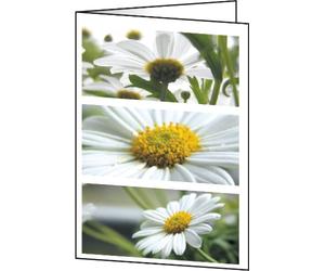SIGEL Dc171 Lot de 25 Cartes à Motif Romance 2 Volets, A6, Blanc/Vert