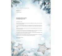 SIGEL DP312 Papier à lettre de Noël, branches et étoiles, 21 x 29,7 cm, 90g/m², blanc et vert bleu, 25 feuilles