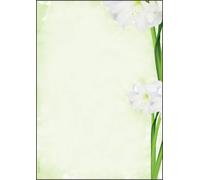 SIGEL DP463 Writing paper "Amaryllis", A4, 90 gsm, 25 sheets 25 sheets lillies -