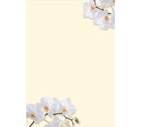 SIGEL DP904 Papier à motifs, White Orchid, A4, 90 g/m², 50 feuilles