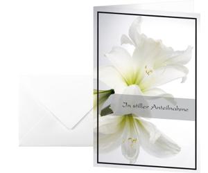 Sigel DS006 Lot de 10 cartes de condoléances avec amaryllis blanc 17 x 11,5 cm avec enveloppe blanche