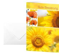 Sigel ds047 Cartes Bon rétablissement, Lot de 10 avec enveloppes