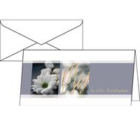 SIGEL DS208 Cartes de deuil (enveloppes blanches incluses), condoléances, DIN long (2/3 A4), 10 cartes