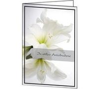 Sigel DS006 Lot de 10 cartes de condoléances avec amaryllis blanc 17 x 11,5 cm avec enveloppe blanche