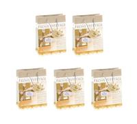 SIGEL Gt017 Lot de 5 Sacs Cadeaux Noël, 23 X 17 cm, Vanille et Or