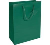 SIGEL GT501 Pochette cadeau moyenne - vert opale - mat - avec fond et étiquette cadeau - papier - 17 x 23 cm