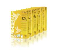 Sigel LP500 Premium Papier multifonctions A4 80 g Vierge/imprimable 2 côtés Lot de 5 x 500 feuilles (Import Allemagne)