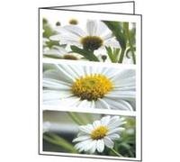 Sigel Motif Card Romance - cartes de voeux glacées - 25 carte(s) G