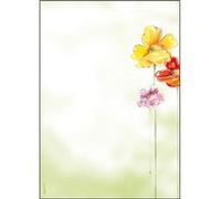 sigel Papier à motif, A4, 90 g/m2, motif 'Spring Flowers' G