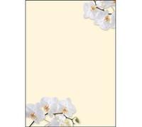 SIGEL DP904 Papier à lettres, 21 x 29,7 cm, 90g/m², orchidées blanches, jaune, 50 feuilles,