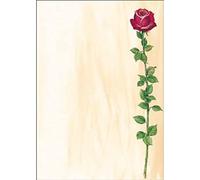 sigel papier design, format A4, 90 g/m2, motif Rose Bloom