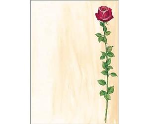 sigel papier design, format A4, 90 g/m2, motif Rose Bloom
