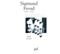 Sigmund Freud, tome 3 : 1905-1920