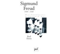Sigmund Freud, tome 3 : 1905-1920