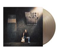 Sign Of The Times Édition Limitée Vinyle Marron Doré Vinyle