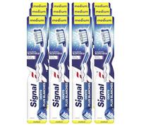 SIGNAL - Brosse à Dents Système Blancheur - Eclat intense - Dents plus blanches - Emballage avec 87% de plastique recyclé - Medium (lot de 12 brosses à dents)