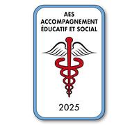SIGNAL SAFETY Autocollant Sticker - Vignette Caducée 2025 pour Pare Brise en Vitrophanie - V4 AES - Accompagnement Éducatif et Social