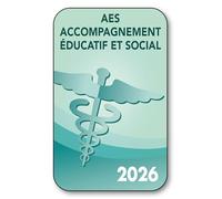 SIGNAL SAFETY Autocollant Sticker - Vignette Caducée 2026 pour Pare Brise en Vitrophanie - V2 AES - Accompagnement Éducatif et Social