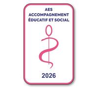 SIGNAL SAFETY Autocollant Sticker - Vignette Caducée 2026 pour Pare Brise en Vitrophanie - V6 AES - Accompagnement Éducatif et Social