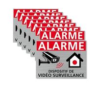 Signalétique.biz France - Autocollants vidéo Surveillance, Dispositif sous Vidéo Surveillance, Lot de 8 adhésifs. Stickers Alarme et sécurité - 80 x 60 mm - Argent brossé