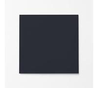 Signalétique.biz France - Verre Acrylique Couleur 3 mm - Feuille Rouge, Bleu, Gris - Verre Synthétique PMMA XT - 500 x 500 mm