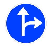 Signalisation de chantier uniques directions et sens autorisés (avant et droite) en acier galvanisé. SEKURECO