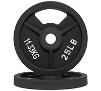 Signature Fitness Lot de 2 plaques de poids en fonte pour musculation et haltérophilie, centre de 2,5 cm (standard), 11,3 kg