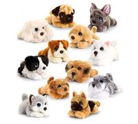 Signature Lot de 12 jouets assortis en peluche pour chien 25 cm