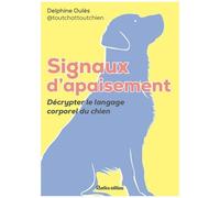 Signaux D'apaisement Du Chien - Décrypter Le Langage Corporel Du Chien