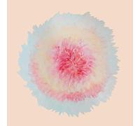 Signe Marie Rustad - When Words Flew Freely