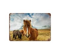 Signe Métal Vintage,Chevaux dans les montagnes d’Islande,Rétro Peinture Plaque Signe En Fer Décor Mural Art Mural Suspendu Pour Salon Maison Café Décoration Noël Cadeau,30 x 40 cm (12 x 16 inch)-T70
