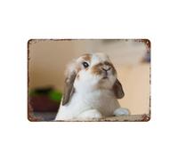 Signe Métal Vintage,Lapin mignon,Rétro Peinture Plaque Signe En Fer Décor Mural Art Mural Suspendu Pour Salon Maison Café Décoration Noël Cadeau-30 x 40 cm (12 x 16 inch) B-70