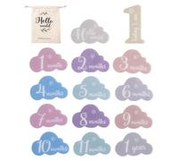 Signes de marqueur du mois pour bébé, cartes de marqueur mensuel pour bébé | Accessoires Photo en acrylique, signes de marqueur pour bébé, cartes de mois, ma