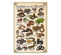 Signes en étain en métal avec connaissances des serpents, affiches des serpents du monde, plaques d'éducation en sciences animales, maison, ferme, bibliothèque, salle de classe, décoration murale 12x1