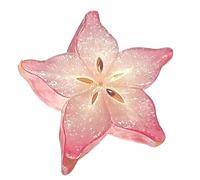 Signets Mignons | Fonctionnalité De Conception Transparente | Matériau Acrylique | Accessoire D'étude Fiable | Fournitures Scolaires En Tranches De Fruits En Acrylique | Petits Signets | Pour Adultes