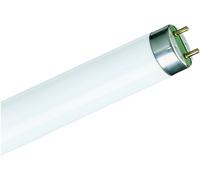 Signify Ampoule fluorescente CEE: G (A - G) G13 36.6 W blanc chaud forme de bâton (Ø x L) 28 mm x 984.2 mm 1 pc(s)