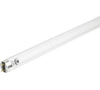 Signify Ampoule fluorescente G13 25 W forme de bâton 1 pc(s)