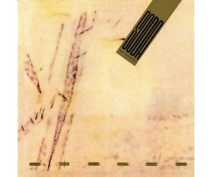 Signos by Soda Stereo (2007)