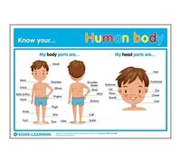 Signs 4 Learning know Poster « Your Human Body » de qualité supérieure, Format A3, 297 mm x 420 mm