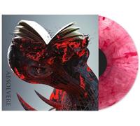 Signs of the Swarm - Absolvere [Import]