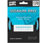 Signum Pro Andromeda Cordage en Garniture 12m Saitenstärke