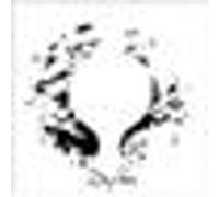 Sigur Ros E