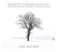 Sigurdur Flosason - Here & Now [Cd]