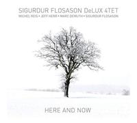 Sigurdur Flosason DeLux 4tet Here and Now (CD) Album
