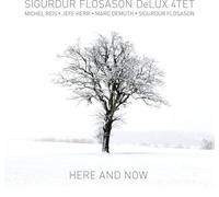 Sigurdur Flosason - Here & Now [Cd]