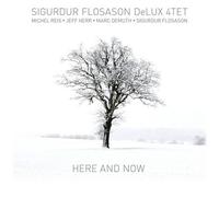Sigurdur Flosason - Here & Now [Compact Discs]