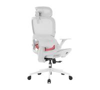 SIHOO B100-JT Chaise de Bureau Ergonomique avec Repose-Pieds, Maille Respirante, Support Lombaire, Appui-Tête Large, Accoudoirs Relevables, Inclinaison 90-135°, Gris/Blanc