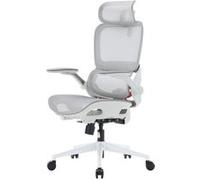 SIHOO B100 Pro Chaise de Bureau Ergonomique, Maille, Soutien Lombaire 4D, Appui-Tête 3D, Accoudoirs 4D Rabattables, Inclinaison 90-135° Gris